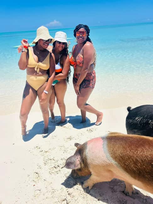 Nassau: Swimming Pigs, Turtles, Snorkel & More - Practical Tips
