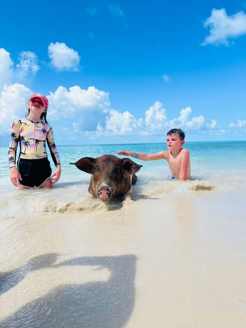 Nassau: Swimming Pigs, Turtles, Snorkel & More - Rose Island: Swimming Pigs and Beach Bliss