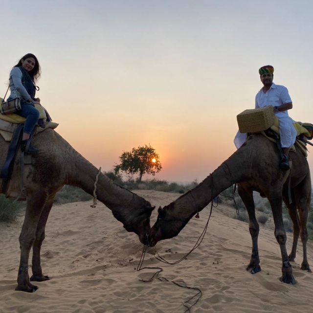 Jodhpur Camel Safari & Overnight Stay In Desert With Sumer - Who Will Love This Tour?