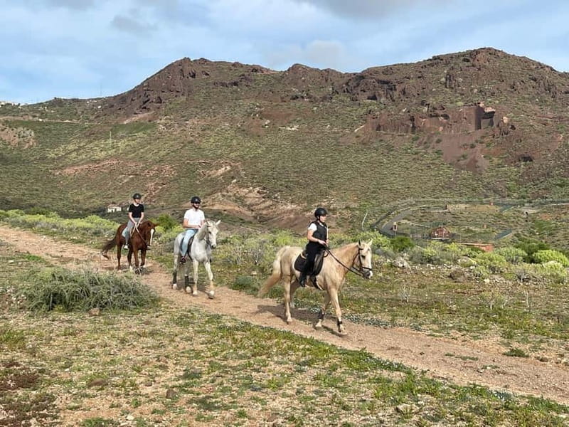 1 hour relaxing horse riding tour in Gran Canaria - What Real Travelers Say