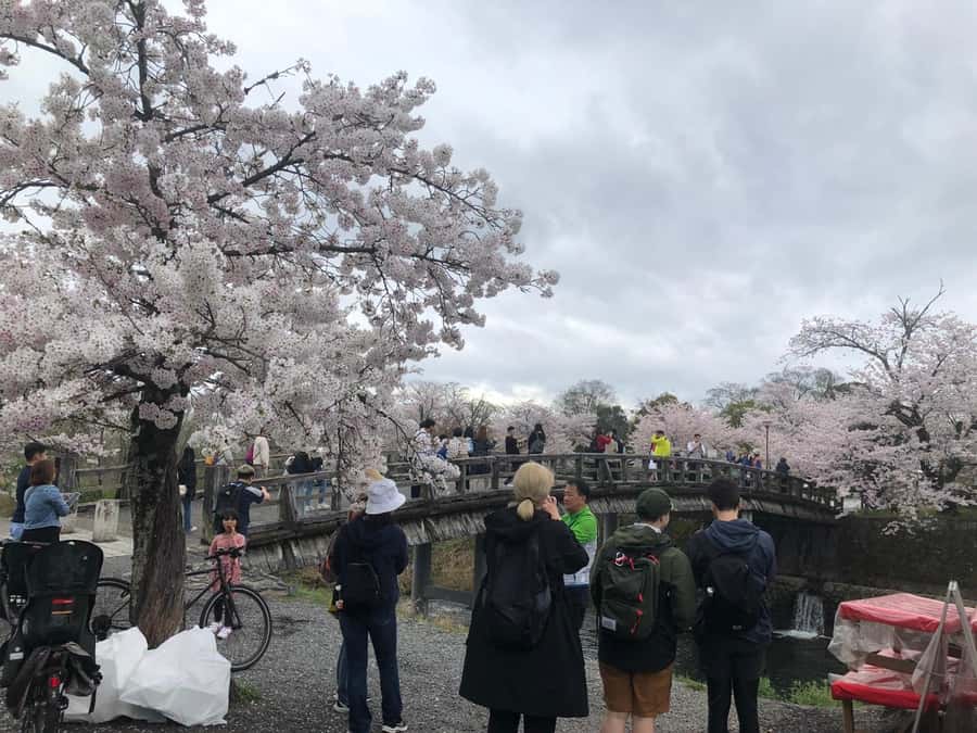 Kyoto Arashiyama Bamboo forest & Golden Pavilion E-Bike Tour - Who Will Love This Tour?