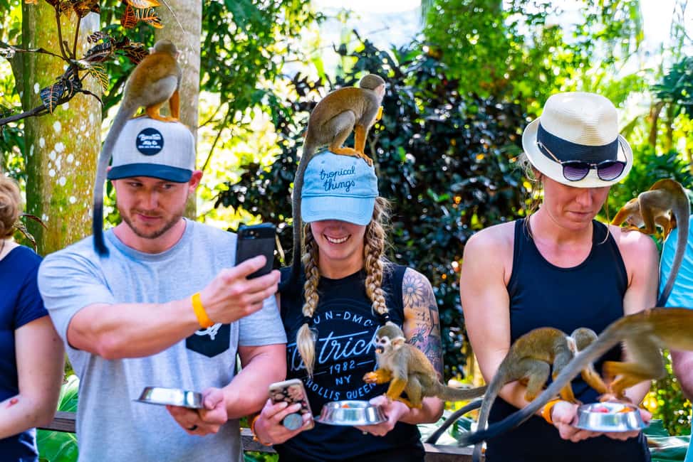 Punta Cana: Ziplines Adventures & Monkeyland Entry - A Complete Guide to Punta Cana’s Ziplines Adventures & Monkeyland Tour