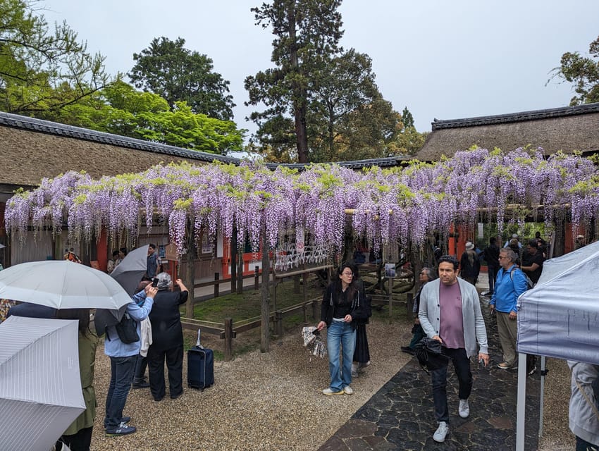 Tokyo: Personalized Half-day Tour - Transportation and Group Size