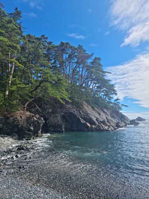 Tokyo: Personalized Half-day Tour - The Sum Up