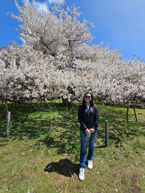 Tokyo: Personalized Half-day Tour - What Do Reviewers Say?