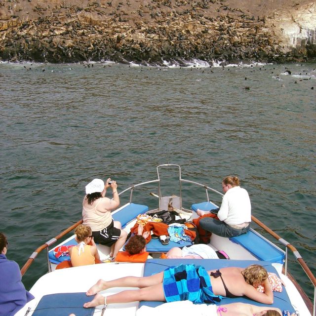 Palomino Islands Yacht Tour and swim alongside the sea lions - Palomino Islands Yacht Tour and Swim Alongside the Sea Lions: An Authentic Marine Adventure near Lima