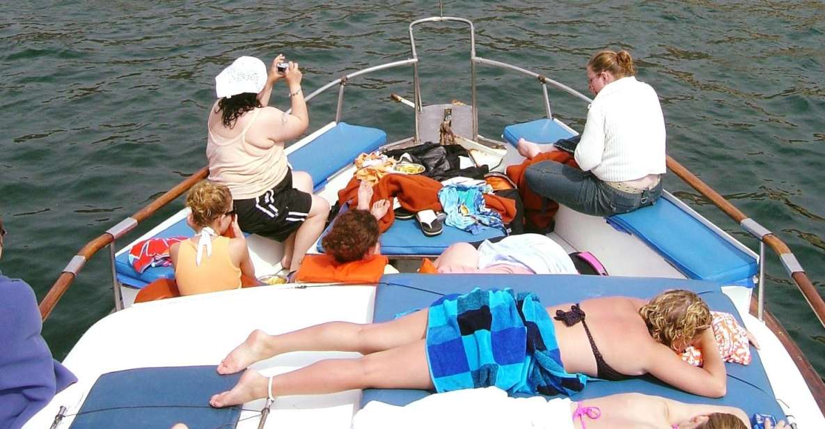 Palomino Islands Yacht Tour and swim alongside the sea lions - Is This Tour Worth It?