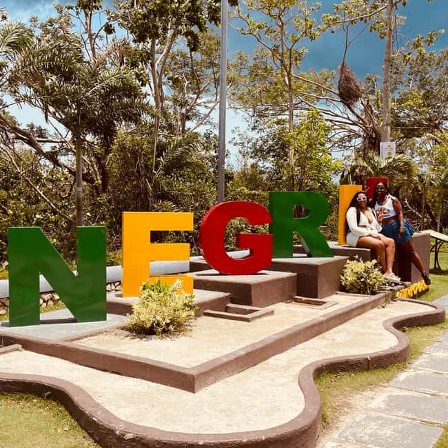Montego Bay: Private Full-Day Tour to Negril - Analyzing the Value