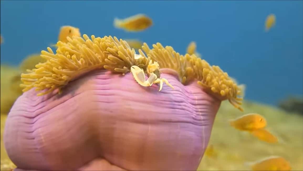 Montego Bay: Private Full-Day Tour to Negril - A Deep Dive into the Tour Experience