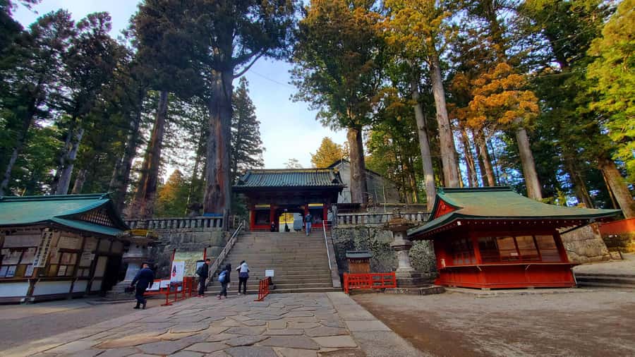 Nikko Full-Day Private Tour from Tokyo (Customizable) - The Experience You’ll Gain