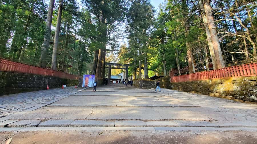 Nikko Full-Day Private Tour from Tokyo (Customizable) - An In-Depth Look at the Nikko Full-Day Private Tour