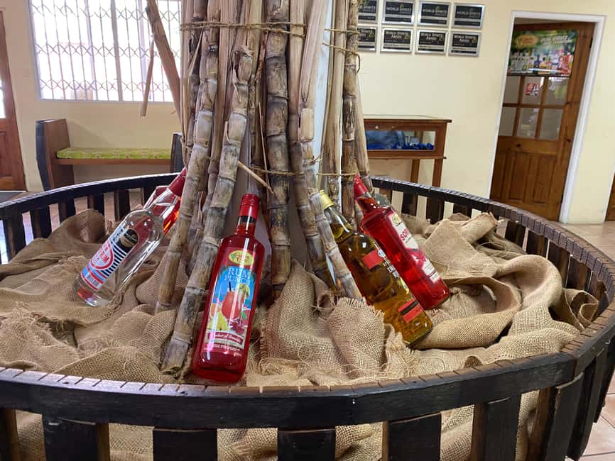 Rum Beer And Beach Tour - Key Points