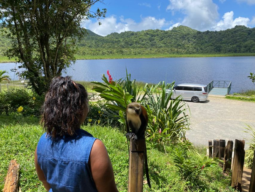 Experience the natural beauty and culture half day tour - The Sum Up: Who Will Love This Tour?