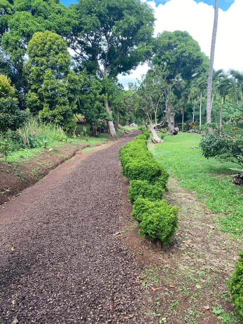 Experience the natural beauty and culture half day tour - Authenticity and Value