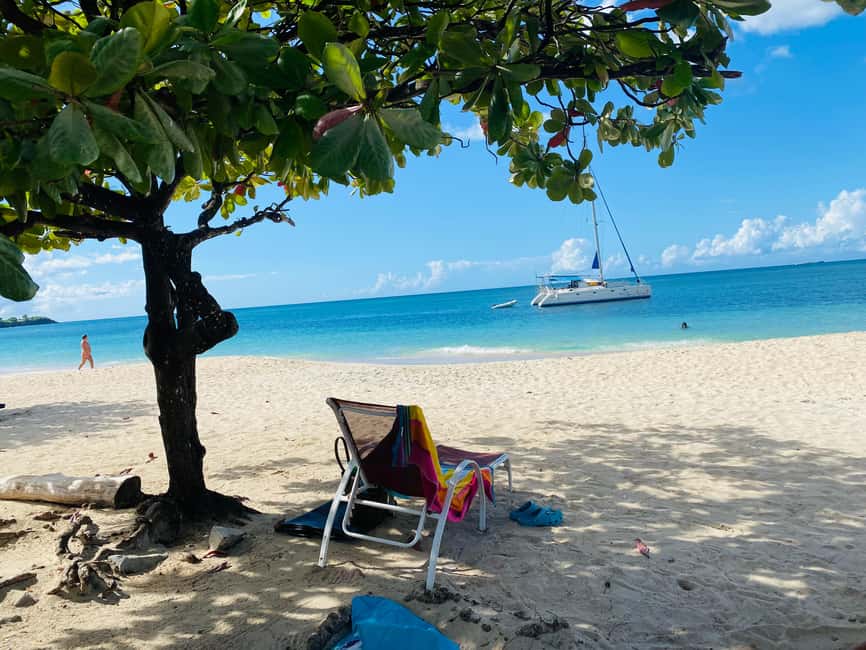 Experience the natural beauty and culture half day tour - An In-Depth Look at What to Expect