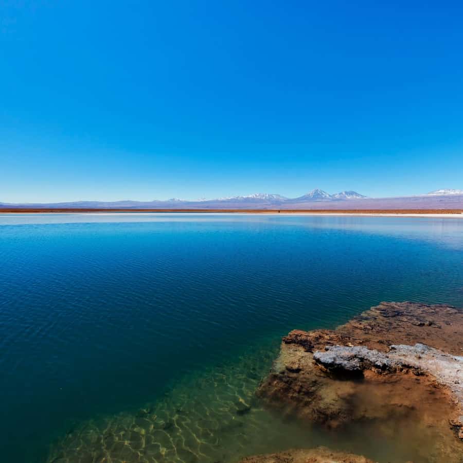 San Pedro de Atacama: Laguna Cejar - Key Points