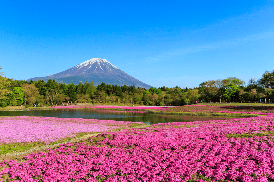 Private charter car one day trip for Mt fuji - What Does the Itinerary Look Like?