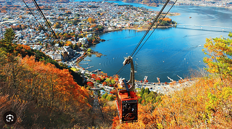 Private charter car one day trip for Mt fuji - The Experience on the Day