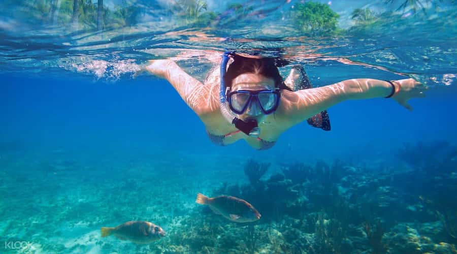 Lovina Package Tours ( Inclusive ) - Final Thoughts