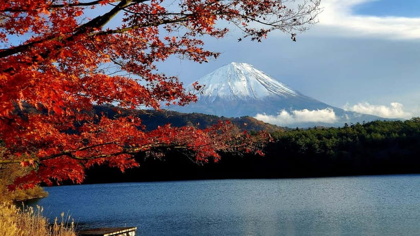 Mount Fuji & Hakone Full-Day Private Tour (Customizable) - Chureito Pagoda and Kitaguchi-Hongu Fuji Sengen Shrine
