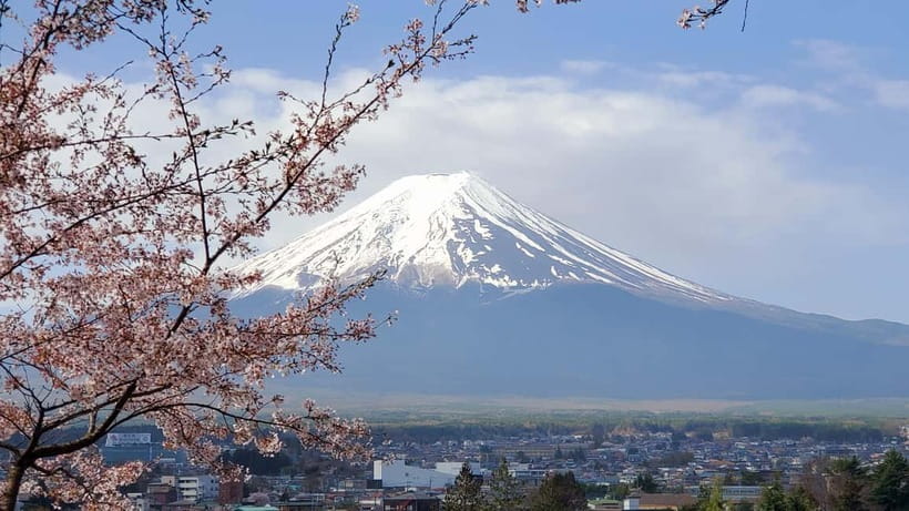 Mount Fuji & Hakone Full-Day Private Tour (Customizable) - Key Points