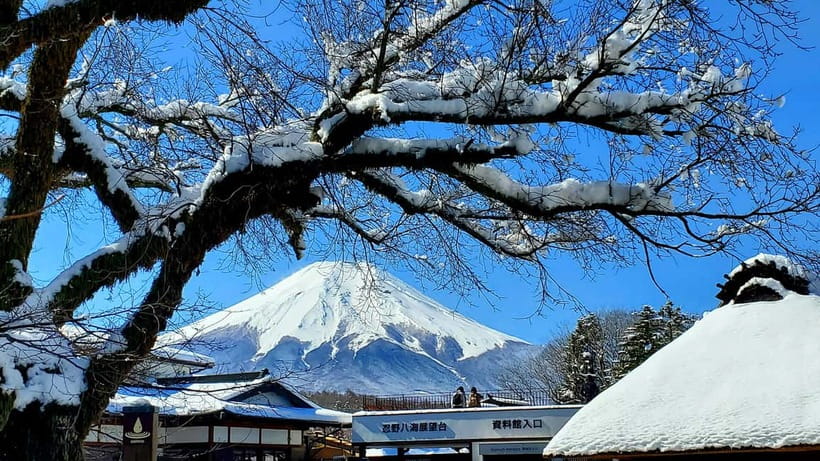 Mount Fuji & Hakone Full-Day Private Tour (Customizable) - Why This Tour Offers Great Value