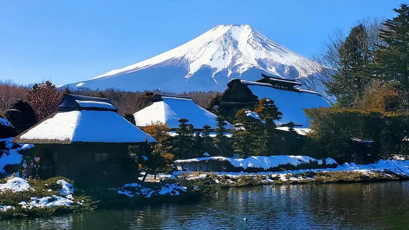 Mount Fuji & Hakone Full-Day Private Tour (Customizable) - The Adventure of Hakone Ropeway and Lake Ashi