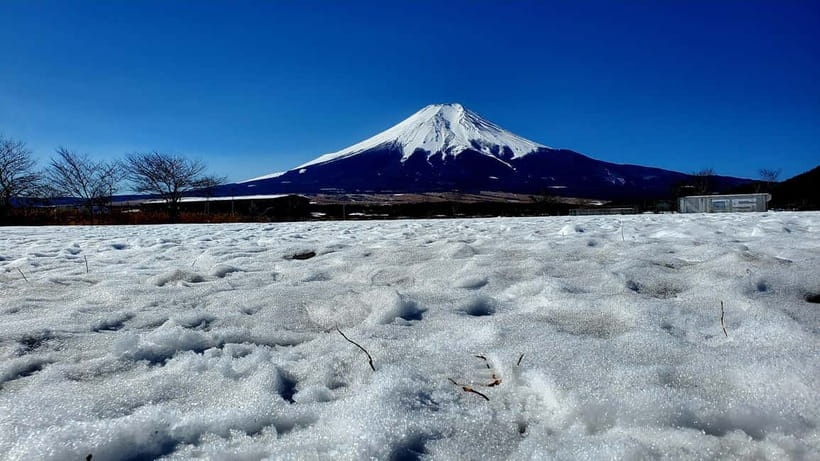 Mount Fuji & Hakone Full-Day Private Tour (Customizable) - Owakudani Valley: Otherworldly Hot Springs