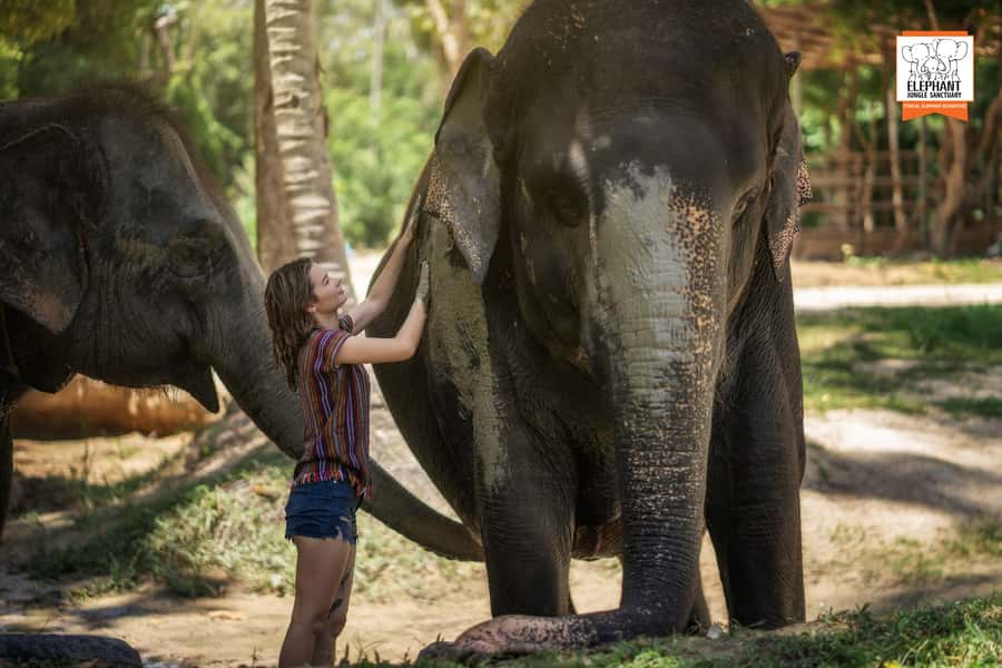 Samui: Elephant Sanctuary Tour - Jungle Walk & Swim - Good To Know