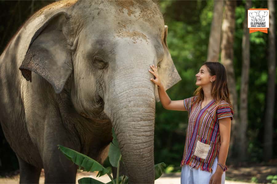 Samui: Elephant Sanctuary Tour - Jungle Walk & Swim - Final Thoughts: Who Is This Tour For?