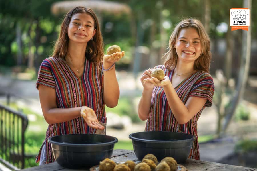 Samui: Elephant Sanctuary Tour - Jungle Walk & Swim - Authenticity and Visitor Satisfaction