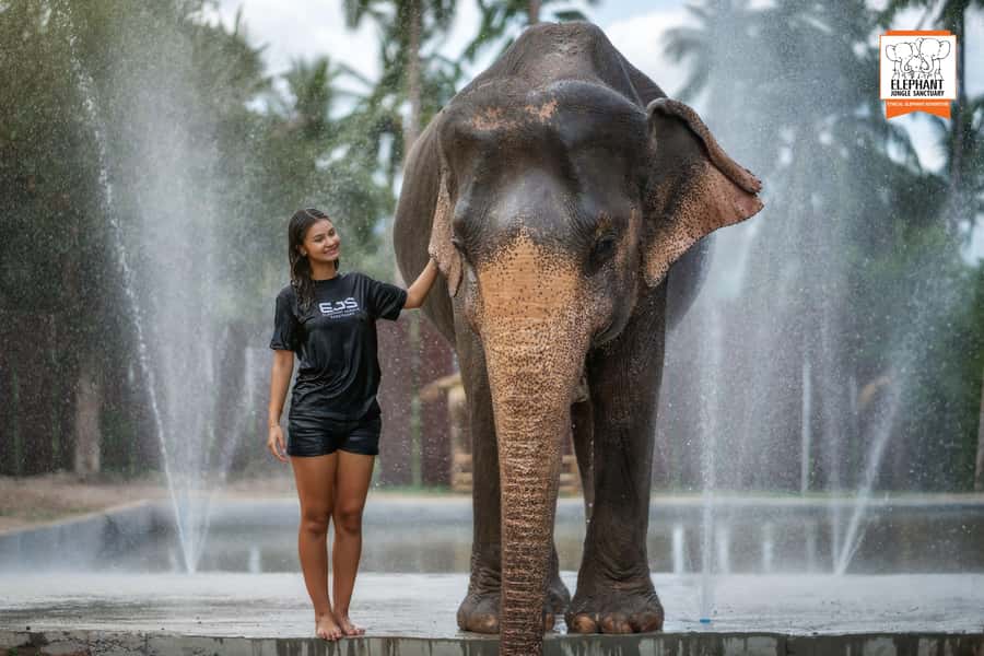 Samui: Elephant Sanctuary Tour - Jungle Walk & Swim - What to Expect Regarding Logistics