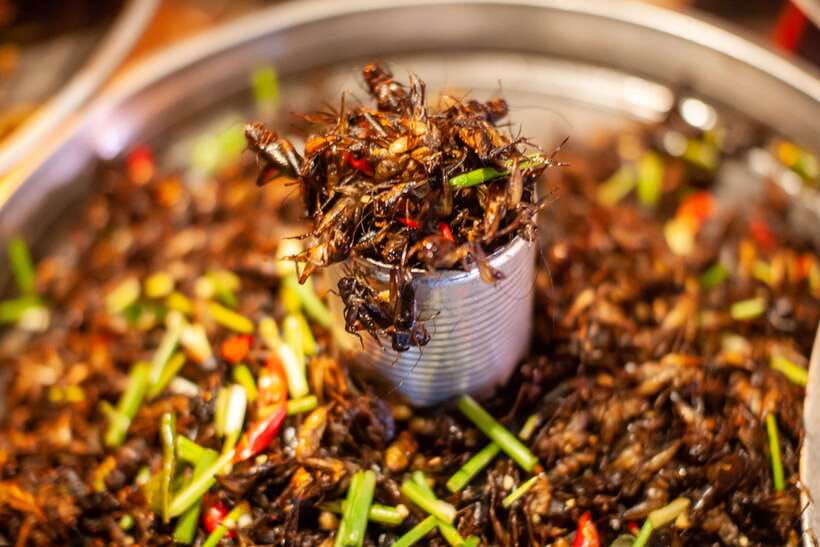 Street Food Tour by Scooter in Siem Reap - An In-Depth Look at the Siem Reap Scooter Food Tour