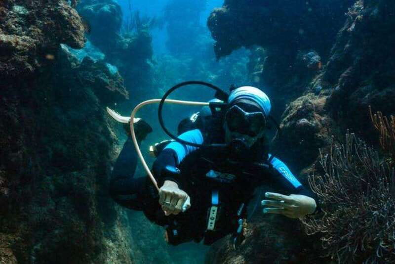 Cozumel: Fun Dive Adventure for Certificates - What’s Included and What’s Not