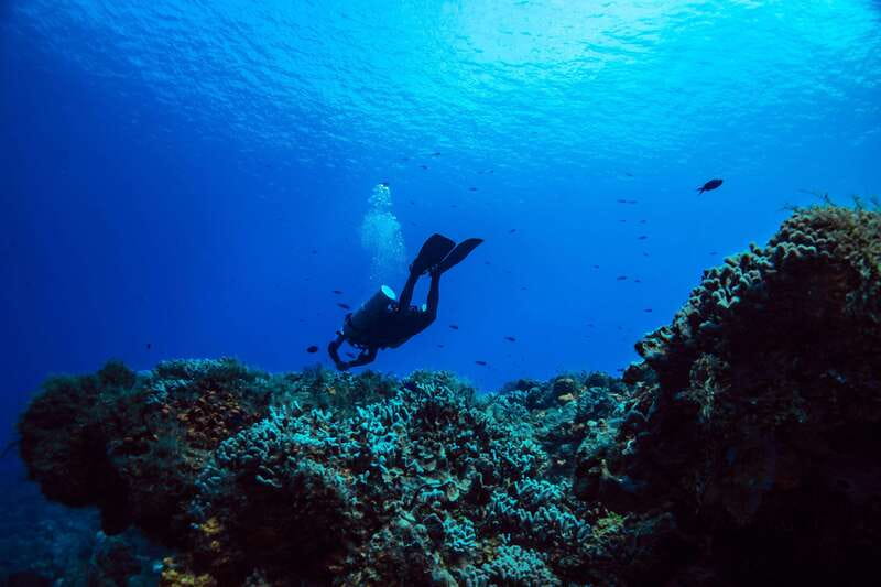 Cozumel: Fun Dive Adventure for Certificates - Who Should Consider This Tour?