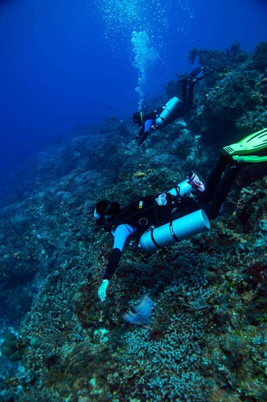 Cozumel: Fun Dive Adventure for Certificates - Authentic Insights from Other Travelers