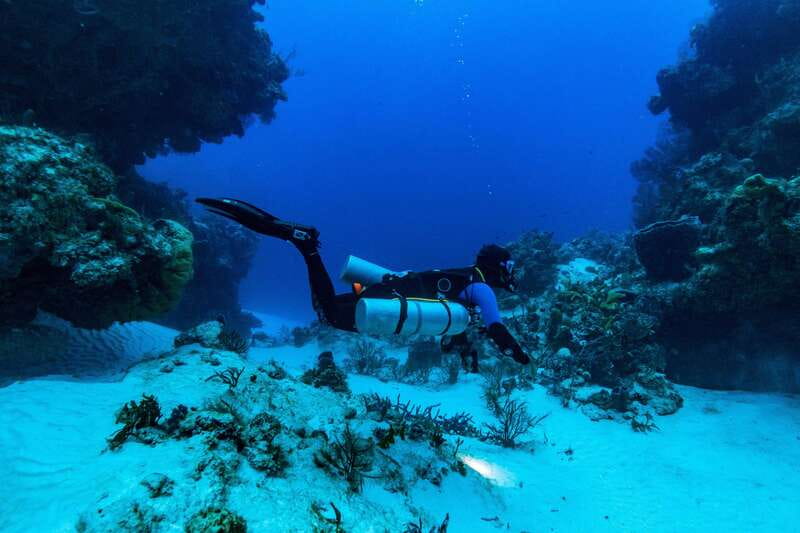 Cozumel: Fun Dive Adventure for Certificates - Logistics and Practicalities