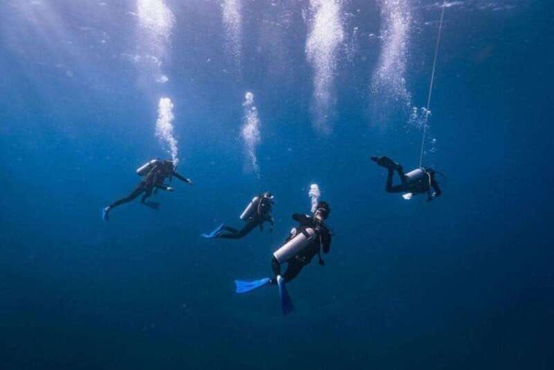 Cozumel: Fun Dive Adventure for Certificates - A Closer Look at the Cozumel Fun Dive Adventure