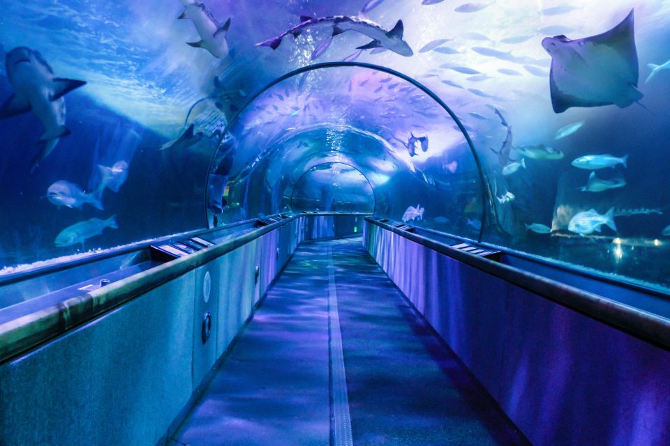 San Francisco: Go City All-Inclusive Pass 30+ Attractions - FAQ