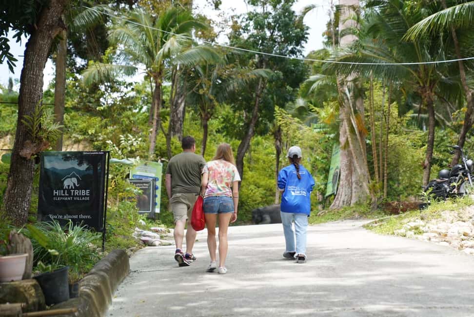 Phuket: Patong Elephant Sanctuary Observe & Learn Experience - An Honest Look at the Patong Elephant Sanctuary Experience