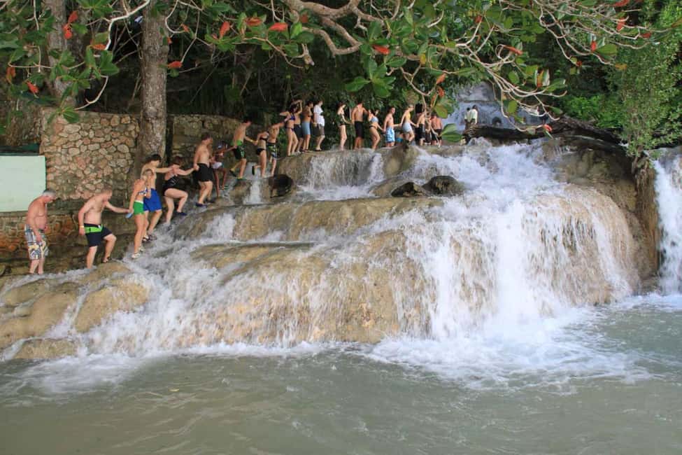 Ocho Rios: Bamboo Beach Club VIP & Dunn's River Falls - Who Should Consider This Tour?