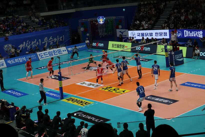 Seoul: Watching Sports Match & Local Food Experience - Why This Tour is Worth It