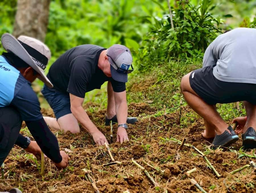 Phuket: Lily Elephant Half day Trip on the Beach with lunch - Who This Tour Is Best For