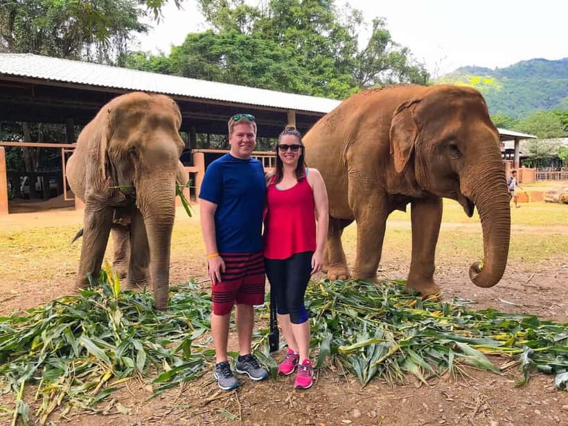 From Delhi: Taj Mahal & Elephant Rescue Day Trip with Guide - Final Thoughts