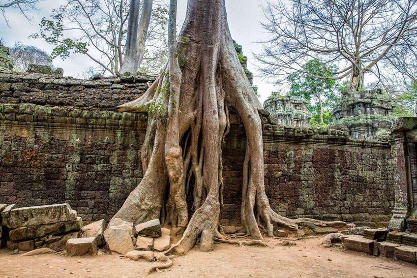 Angkor Wat Small Tour With Private Tuk Tuk - FAQ