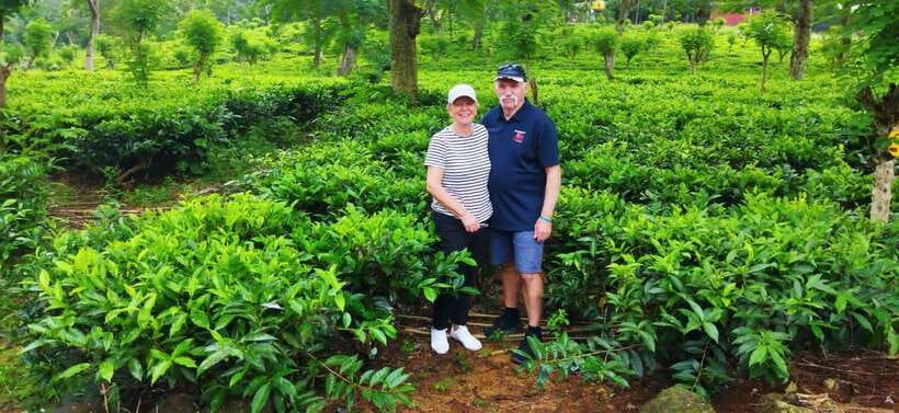 Ceylon Tea Experience from Colombo Port Passenger Terminal - Who Should Consider This Tour?