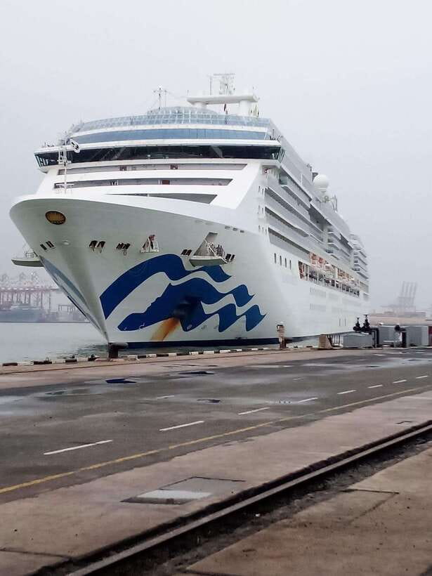 Ceylon Tea Experience from Colombo Port Passenger Terminal - A Close-Up Look at the Ceylon Tea Experience from Colombo Port