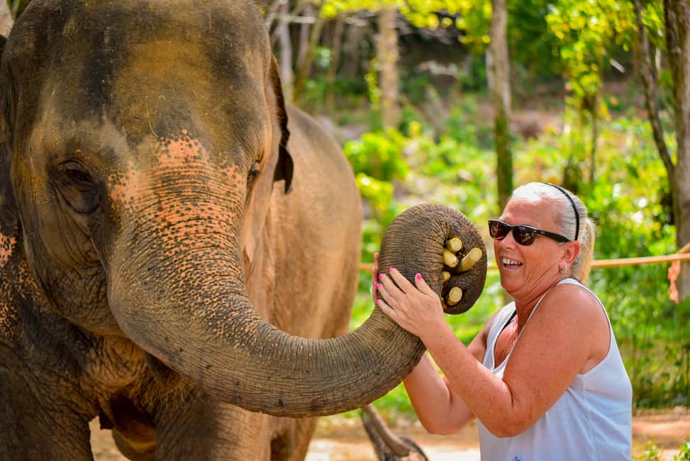 Phuket: Make & Meet The Gentle Giant Experience - What to Expect From The Experience