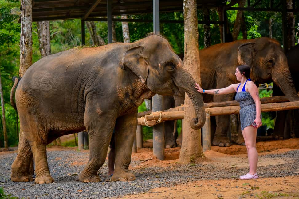 Phuket: Make & Meet The Gentle Giant Experience - FAQ