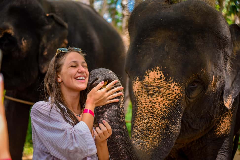 Phuket: Make & Meet The Gentle Giant Experience - Who Will Love This Tour?